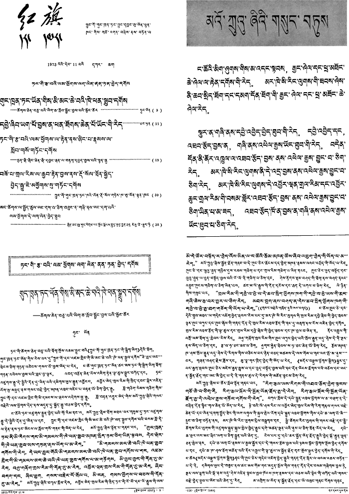 西蔵自治区チベット語新聞「Bod-ljons-nin-rei-tshags-par｣